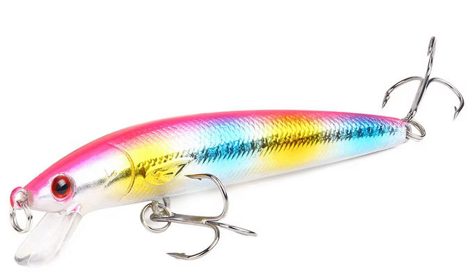 rainbow barra